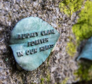 Bronze leaves on a mossy granite rock